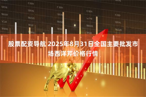 股票配资导航 2025年8月31日全国主要批发市场西洋芹价格行情