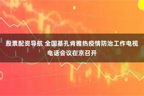 股票配资导航 全国基孔肯雅热疫情防治工作电视电话会议在京召开